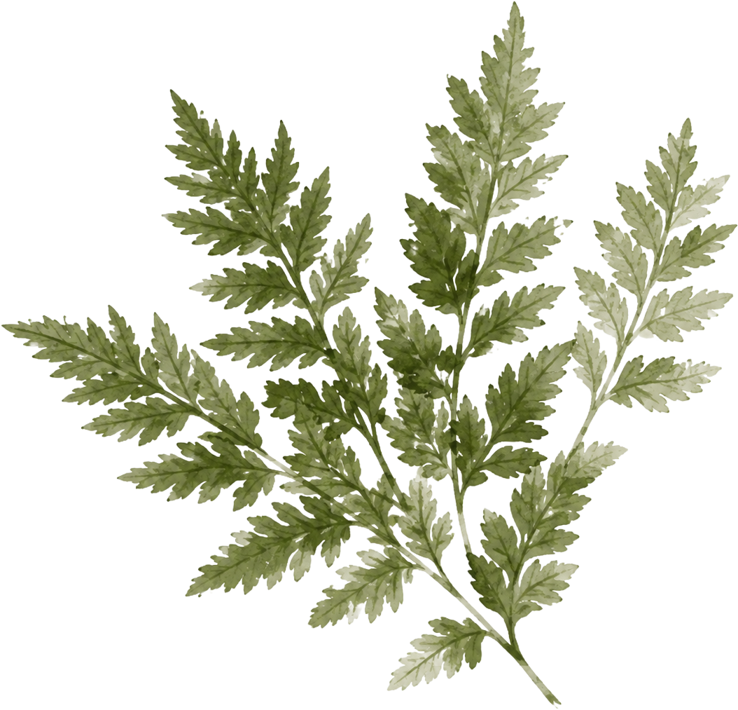 Balaba Aseka